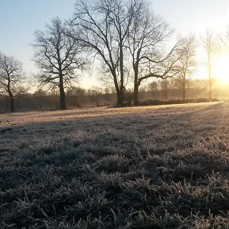 Grosses Mit Garten - 4 Km Bis Zum Senftenberg