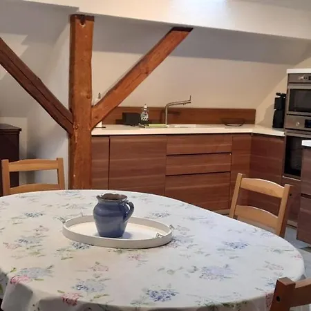 Apartment Grosses Mit Garten - 4 Km Bis Zum Senftenberg