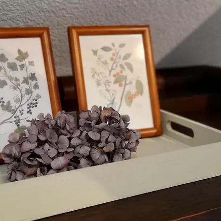 Auf Vierseitenhof Apartmán Senftenberg