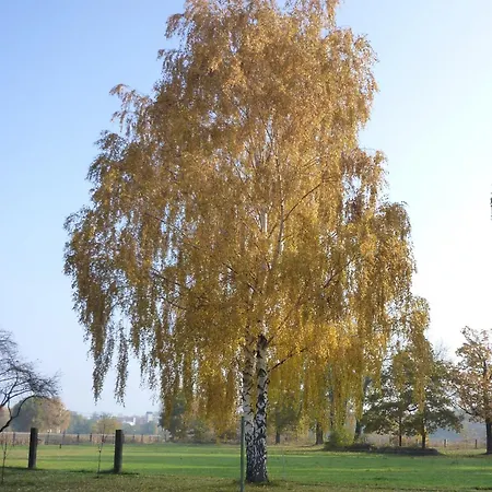 Grosses Mit Garten - 4 Km Bis Zum