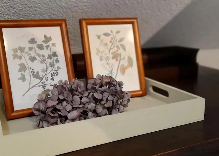 Auf Vierseitenhof شقة سنفتنبرغ